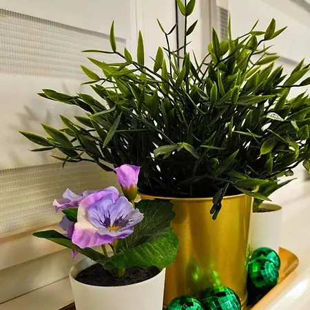 Zielona Przystań Apartament Gdańsk